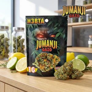 Amnesia Jumanji by Gazo – BUDS Blüten (H3BTA) 1g