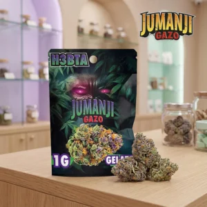 Gelato Jumanji by Gazo – BUDS Blüten (H3BTA) 1g