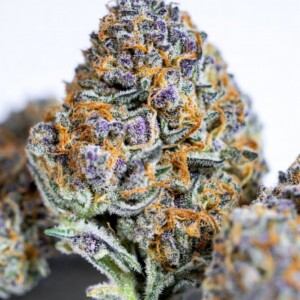 Insane Pound Cake 1,5g – 32% THCA Blüten (US-IMPORT-A++)